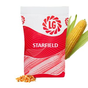 STARFIELD