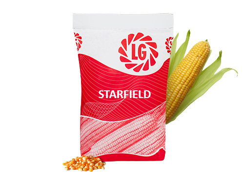 STARFIELD