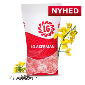 LG AKERMAN