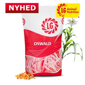 OSWALD