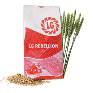 LG REBELLION